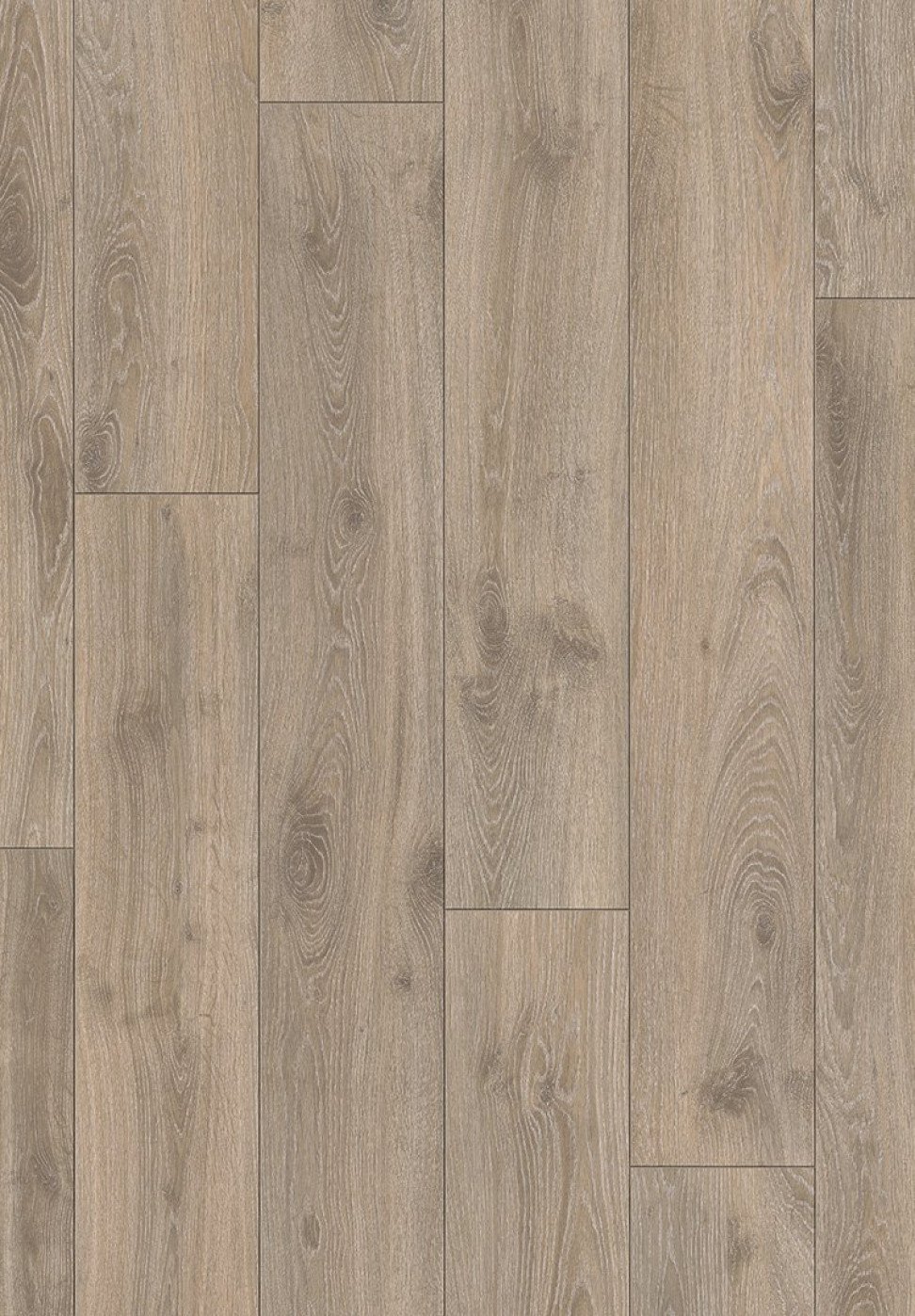 Laminatas Oak tradition grey-beige