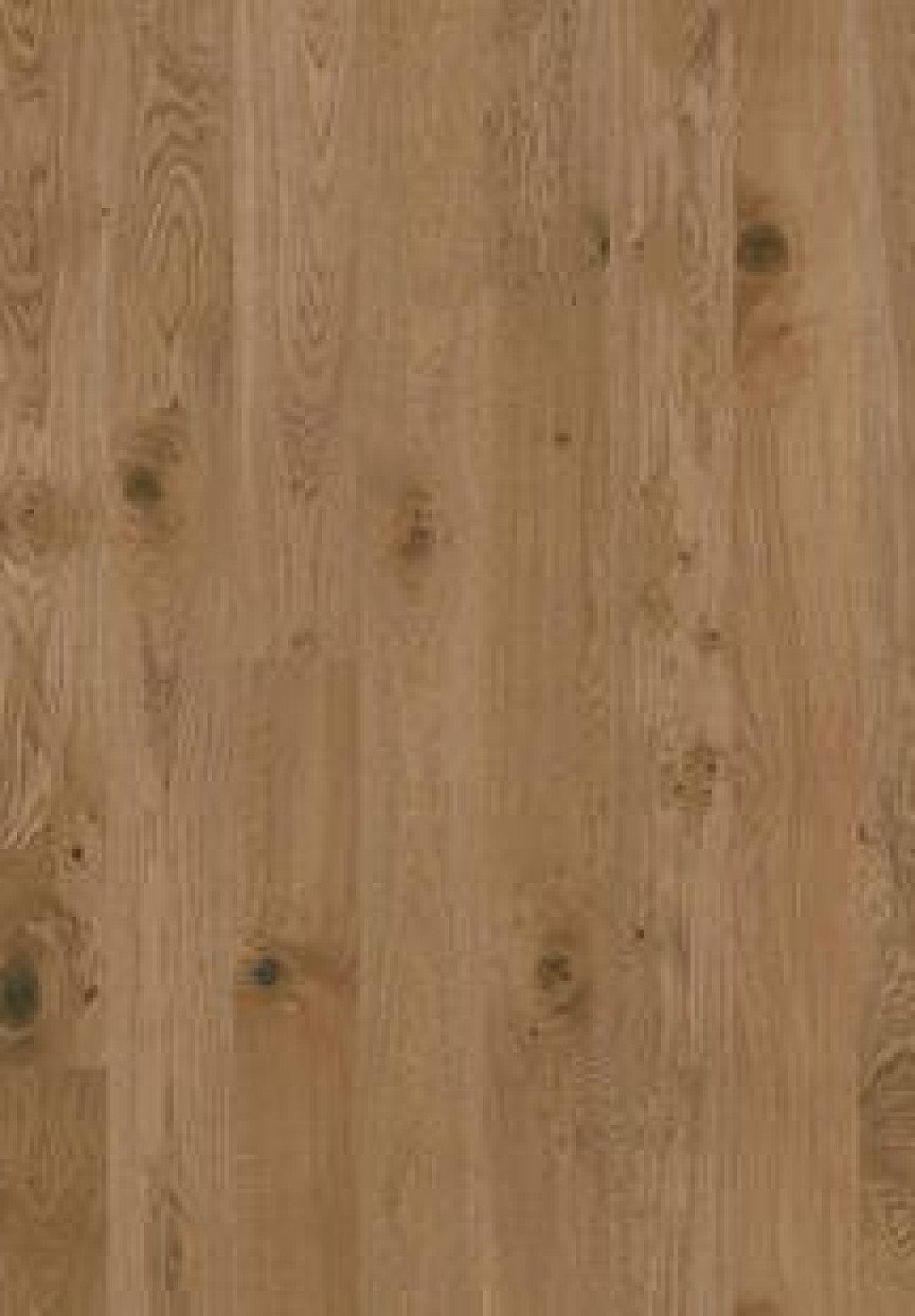 Parketlentės Shade almond oak 