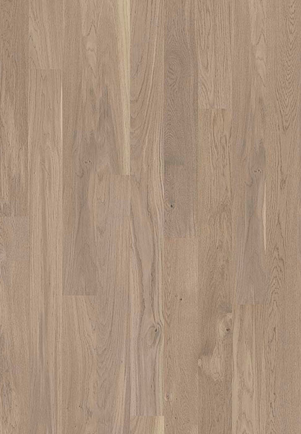 Parketlentės Shade oak evening grey 