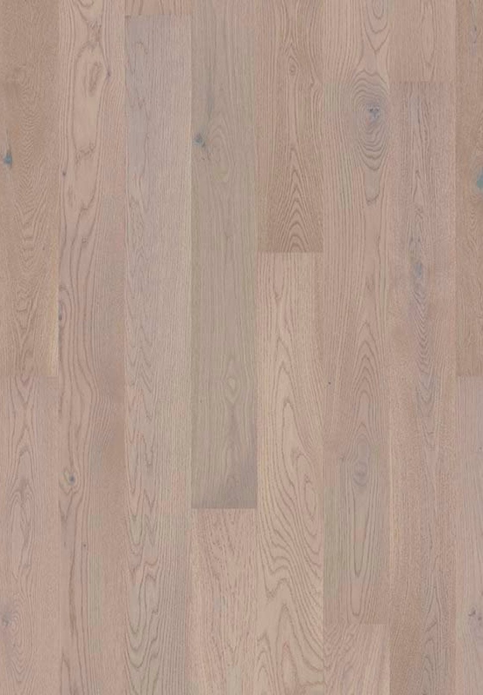 Shade oak misty grey 7876085