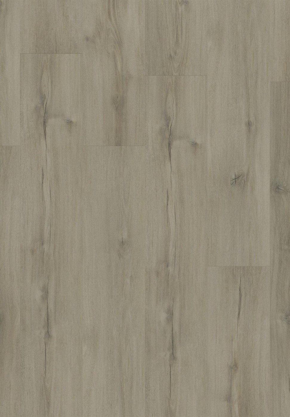 Tarkett Vinilinė danga/Galloway Oak Medium Beige