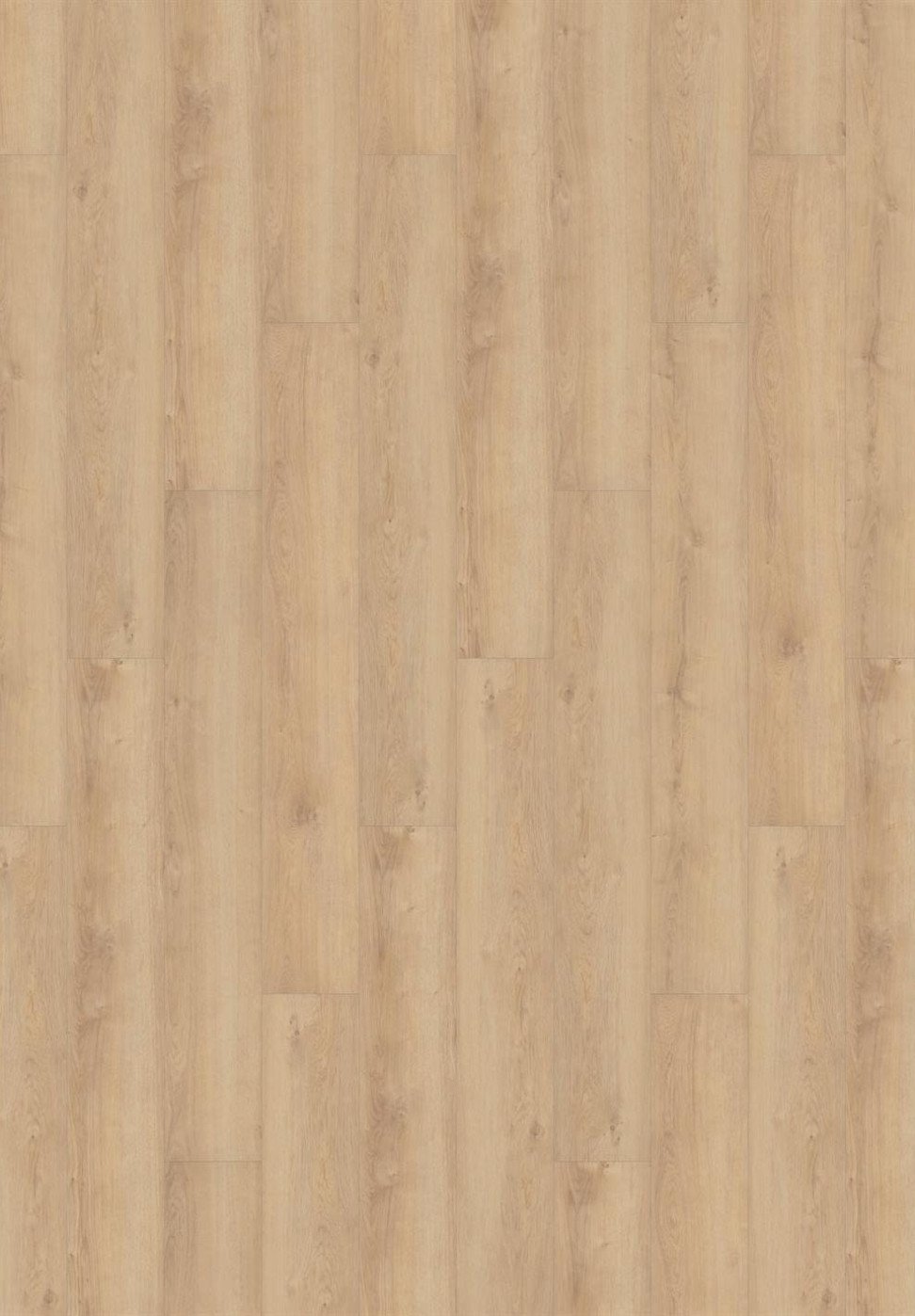 Tarkett Vinilinė danga/Stylish Oak Natural