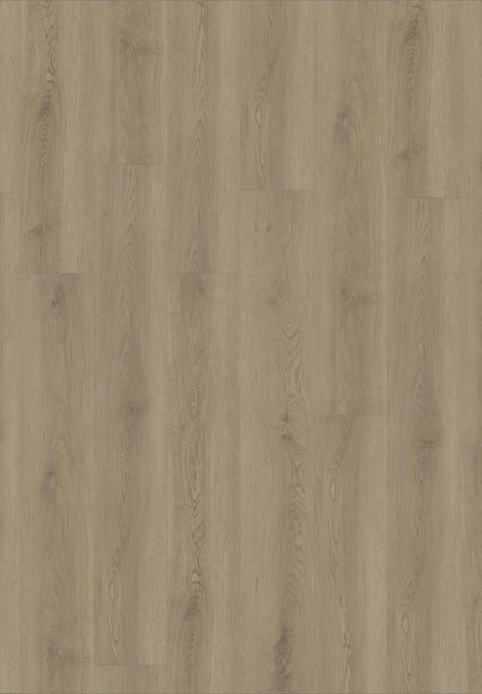 Tarkett Vinilinė danga/Vermont Oak Beige
