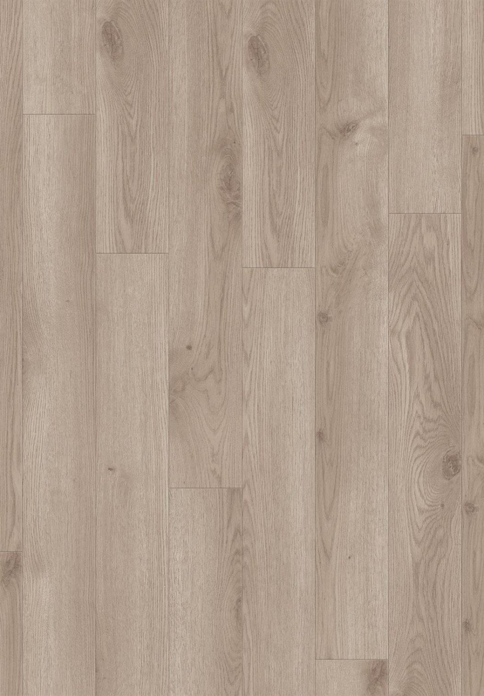 Vinilinė danga/ Contemporary oak grege