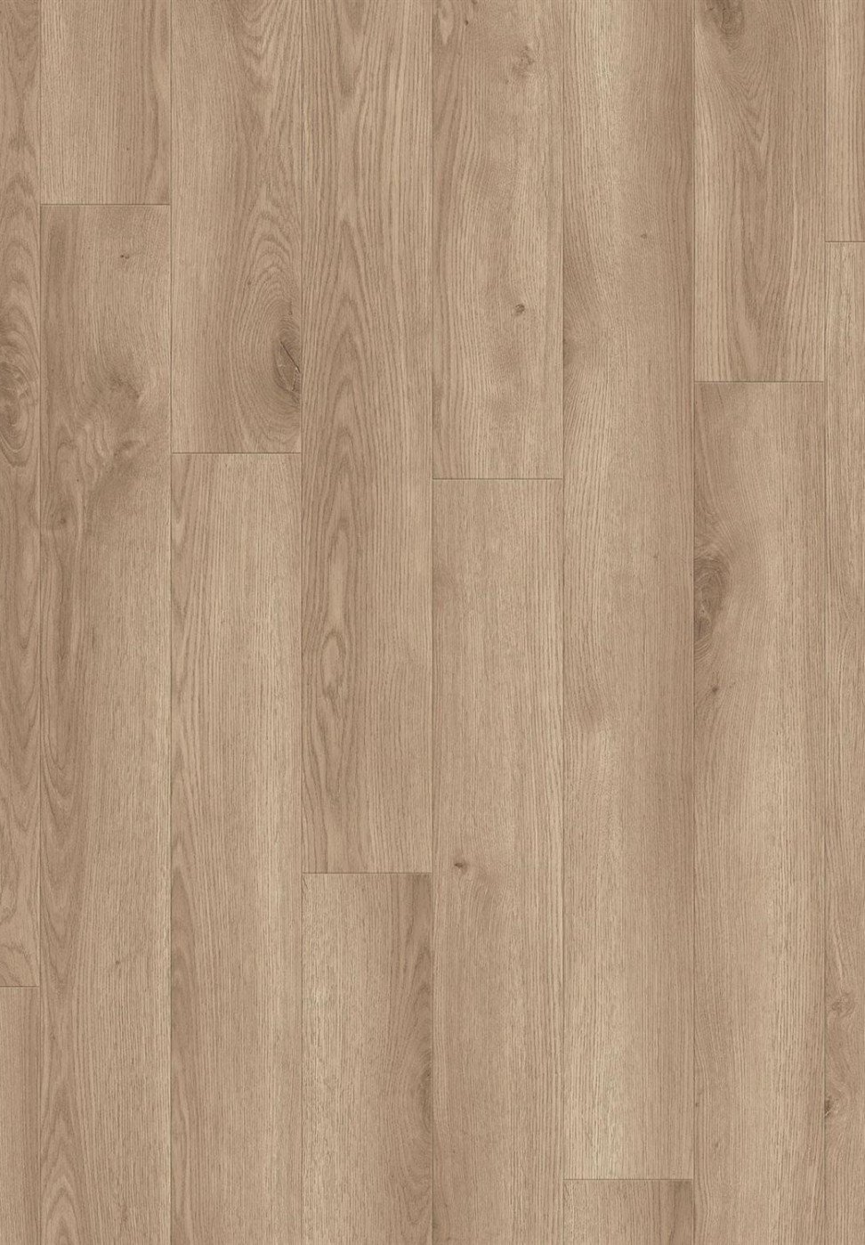 Vinilinė danga/ Contemporary oak natural