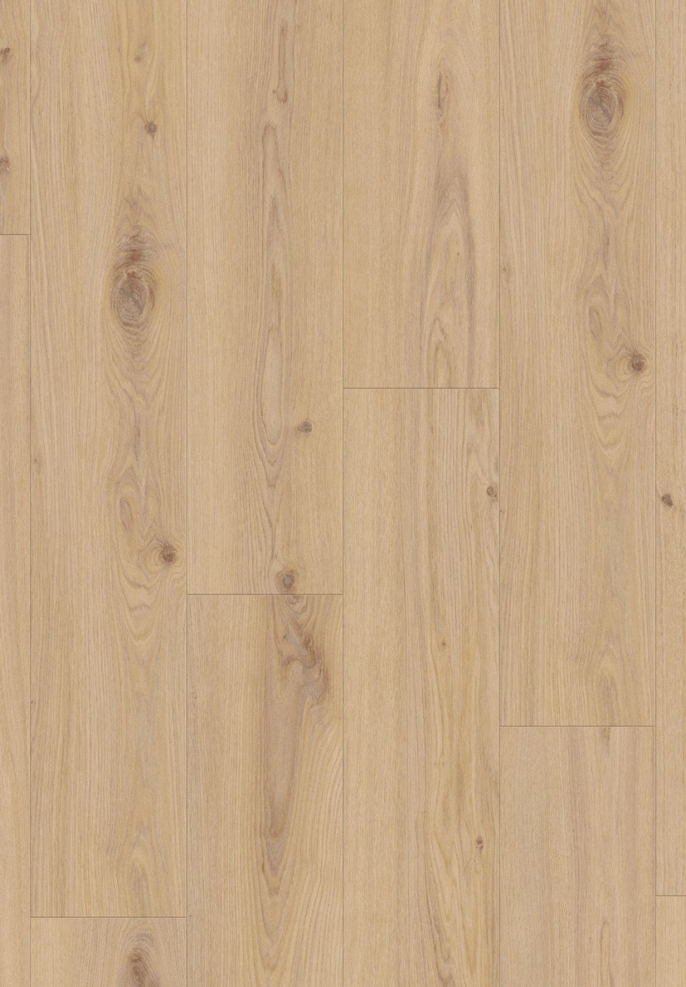 Vinilinė danga/Delicate Oak ALMOND