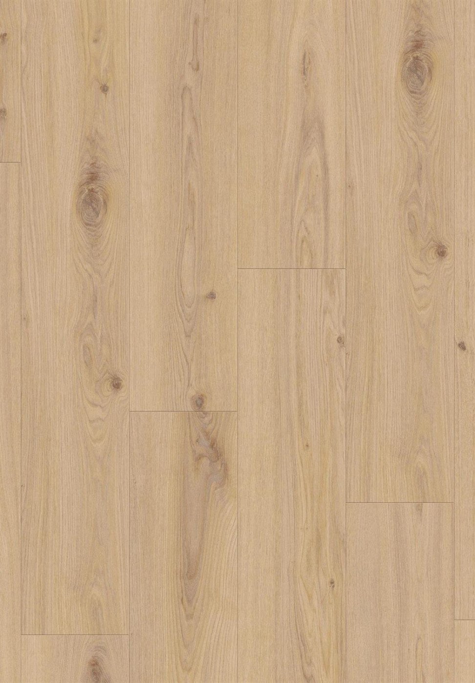 Vinilinė danga/ Delicate oak almond
