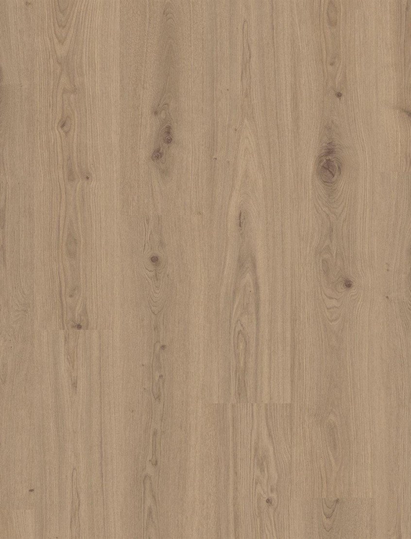 Vinilinė danga/ Delicate oak chesnut