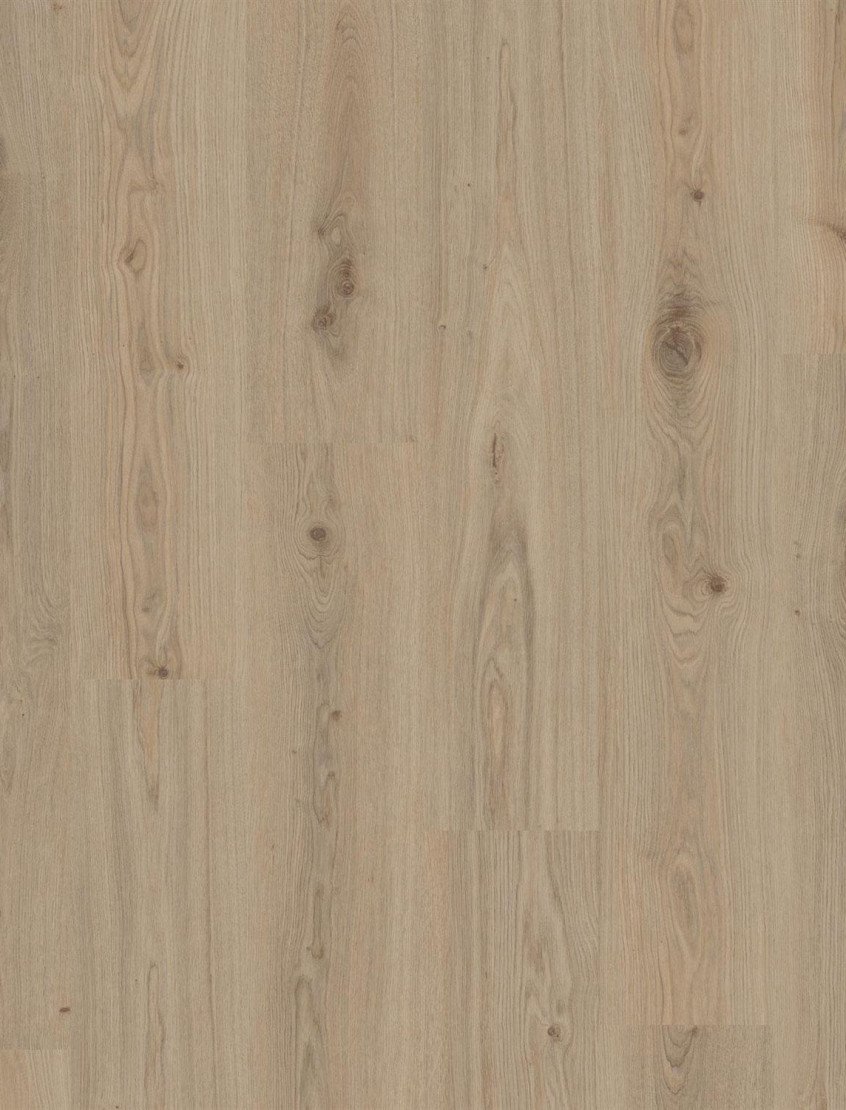 Vinilinė danga/ Delicate oak natural
