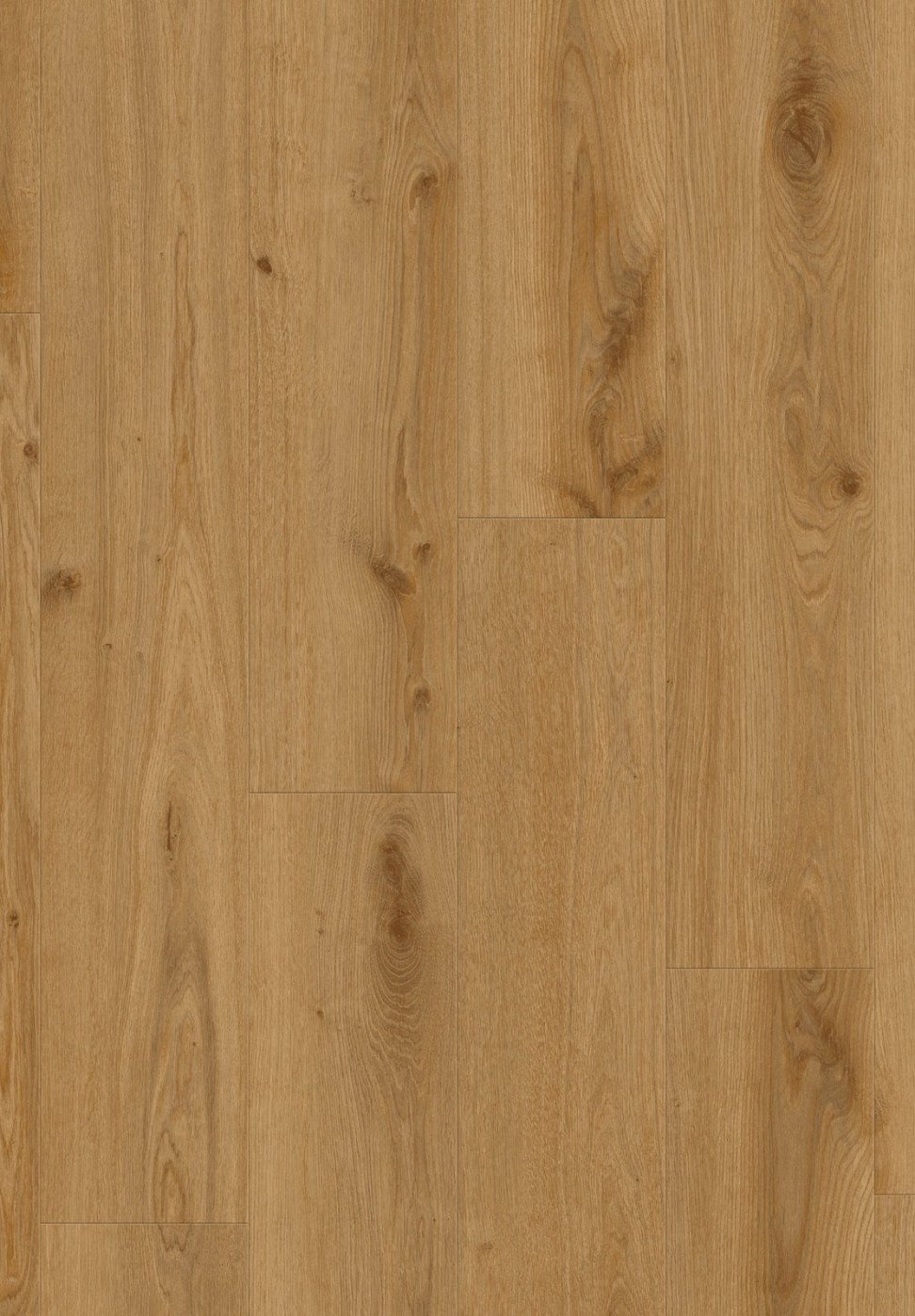 Vinilinė danga/ Delicate Oak TOFFEE