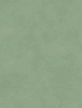 Vinilinė danga/ Fibra green