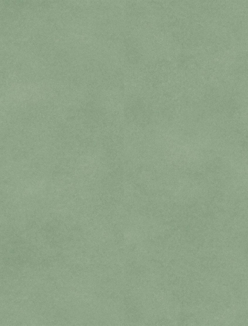 Vinilinė danga/ Fibra green