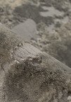 Kilimas monet pilkas, Pierre Cardin pristatymas visoje lietuvoje